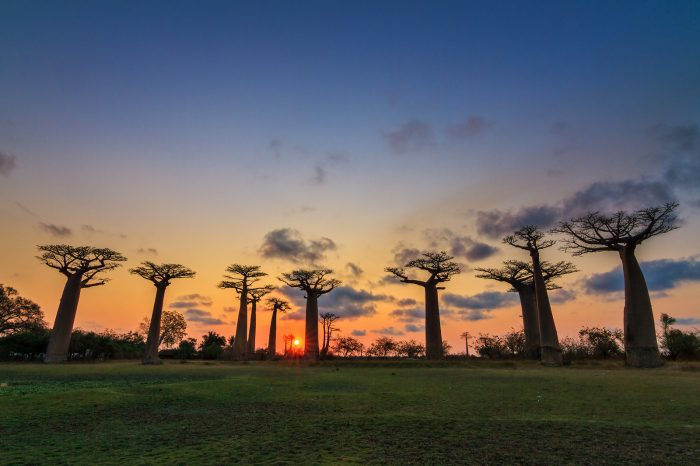 Madagascar e Mauritius