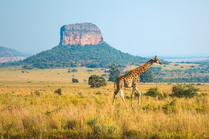 Sudafrica e Mauritius