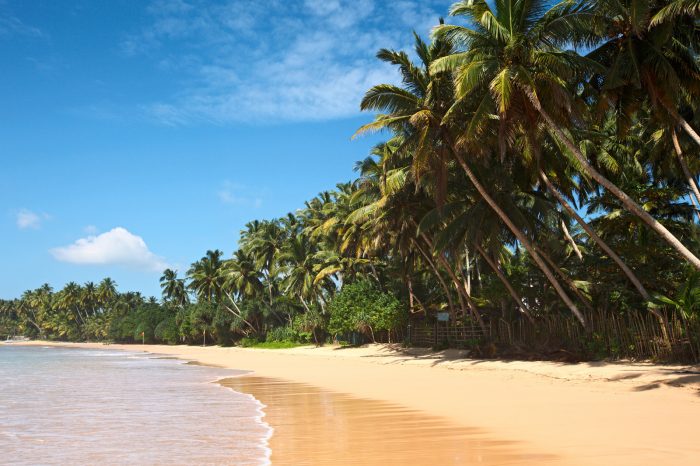 Sri Lanka e Seychelles