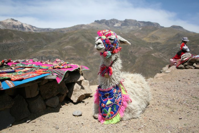 Spedizione Inca