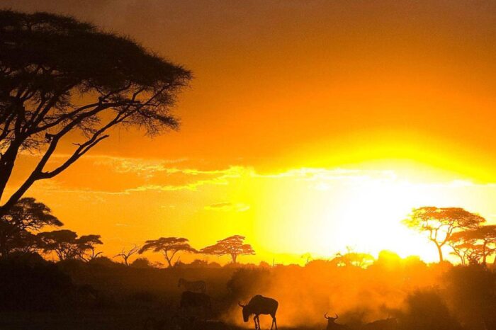 Kenya